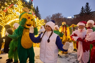 Похолодание в Новосибирске: до -22 градусов в первые дни года