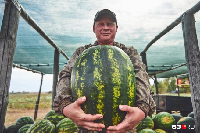 Сергей Абрамов хвастается красавцем-арбузом | Источник: Роман Данилкин / 63.RU