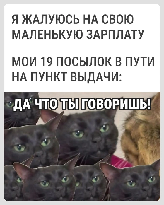 Эти ребята&nbsp;— причина финансовой дыры в бюджете | Источник: Городские медиа
