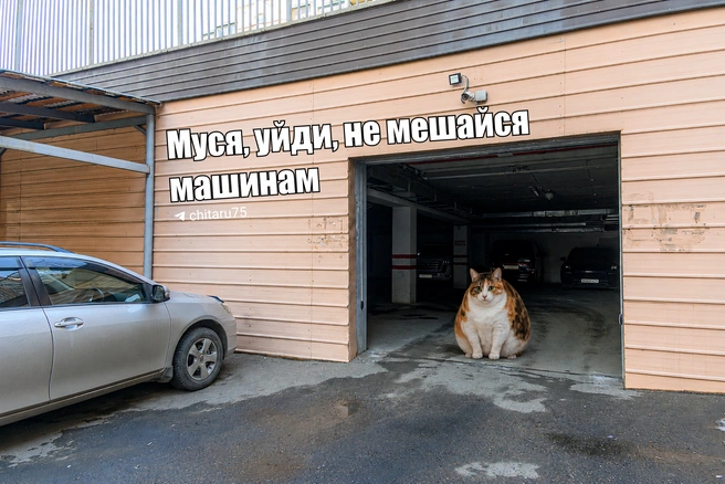 Источник: Вячеслав Палкин