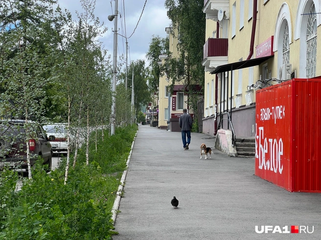 Центр Белорецка | Источник: Андрей Бирюков / UFA1.RU