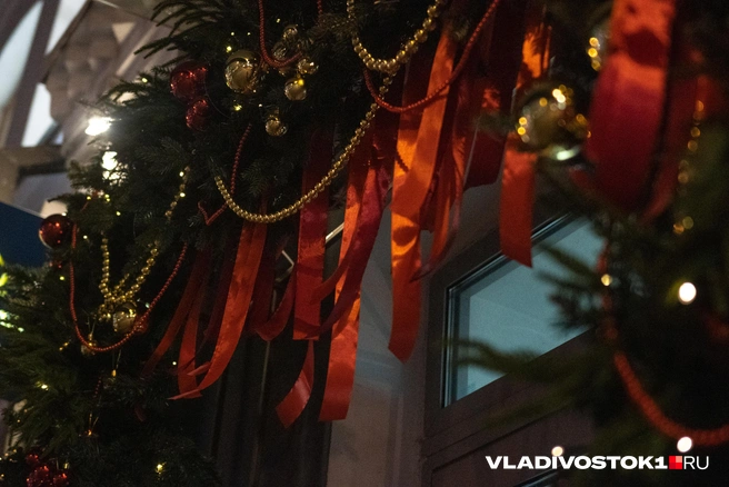 Источник: Елена Буйвол / VLADIVOSTOK1.RU