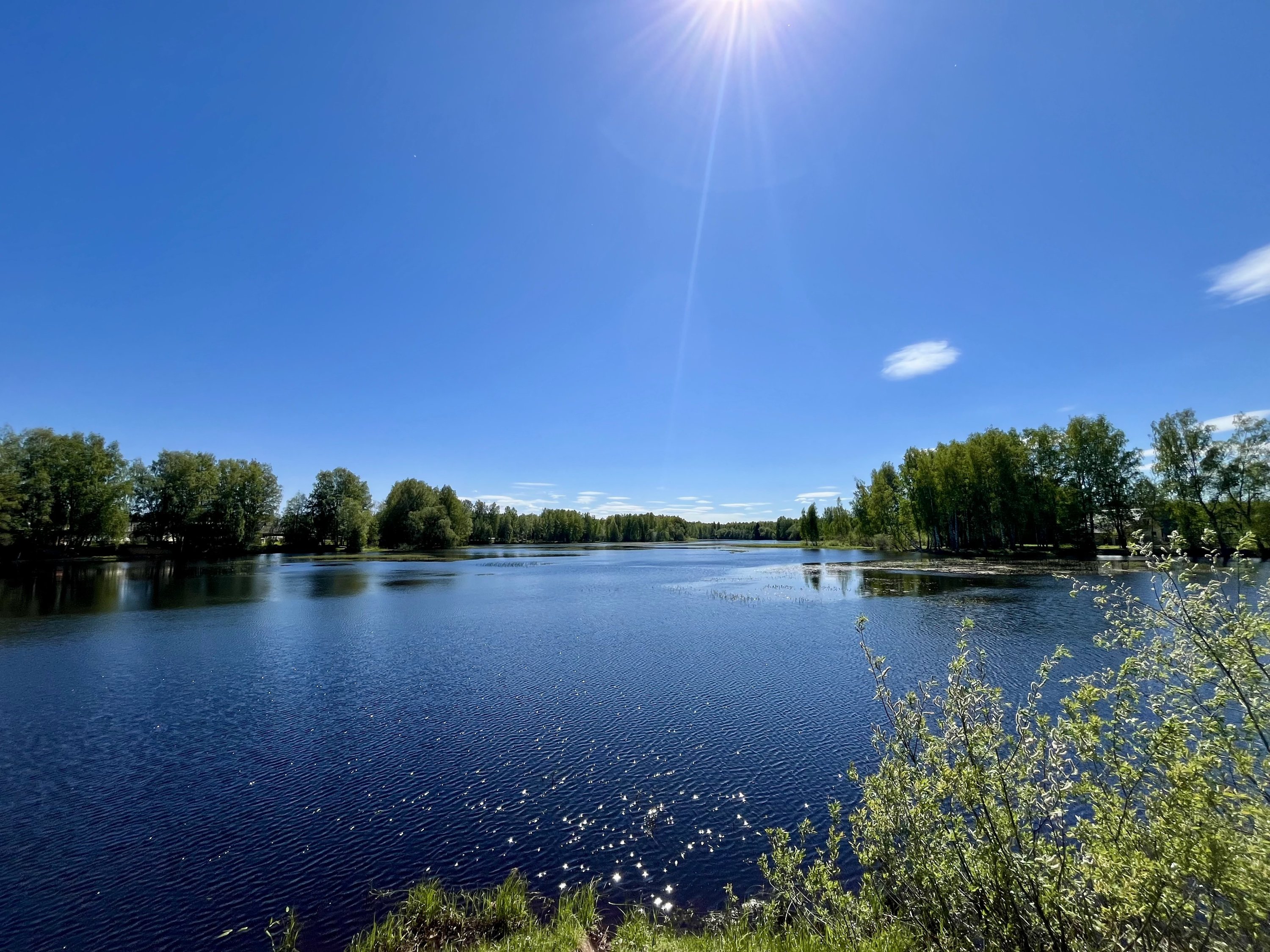 Отдых на Рыбинском водохранилище - 24 июня 2024 - 76.ру