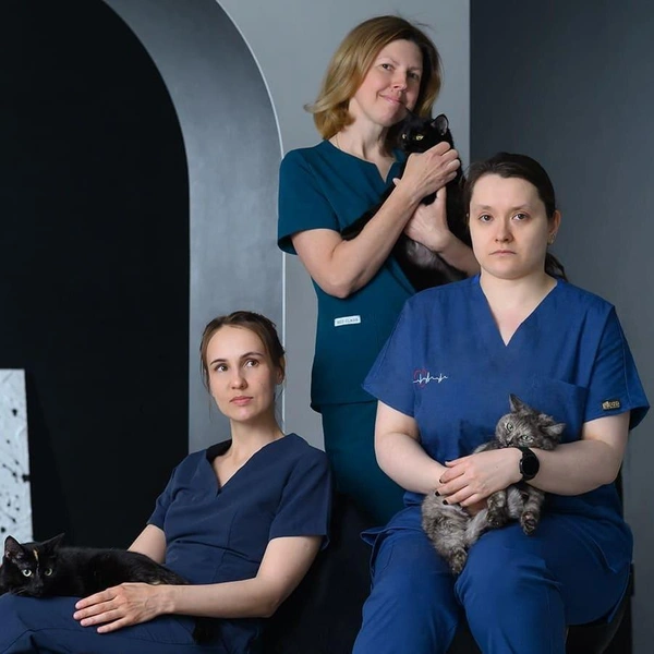 Источник: Гюнай Мусаева