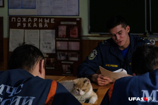 Важно слушает лекцию | Источник: Булат Салихов / UFA1.RU