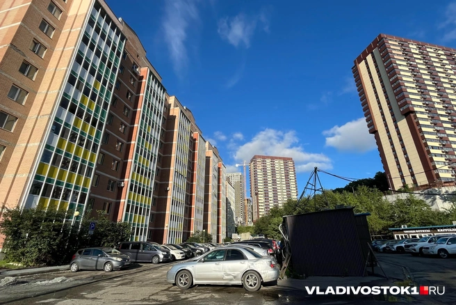 Источник: Елена Буйвол / VLADIVOSTOK1.RU