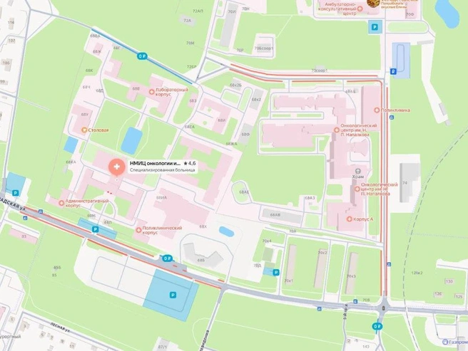 Зоны запрета на парковку и разрешенной парковки вокруг онкоцентров в Песочном | Источник: «Яндекс.Карты»