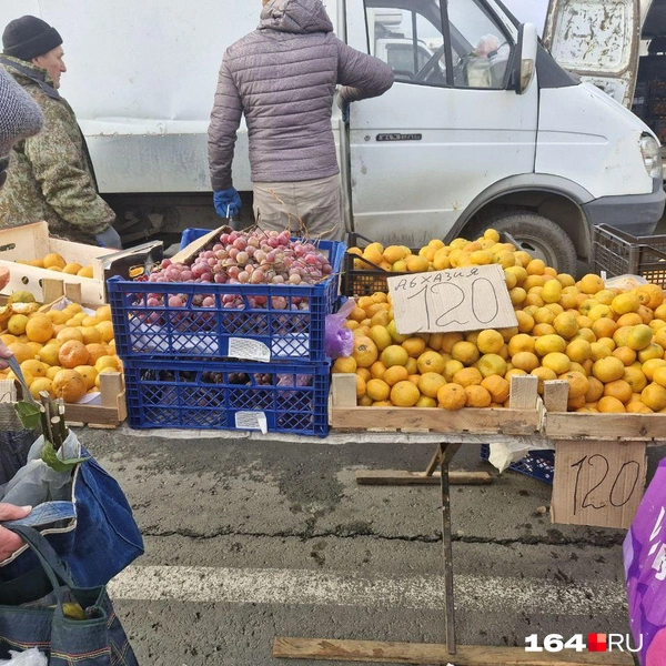 Мандарины из разных стран | Источник: Виктория Федорова / 164.RU