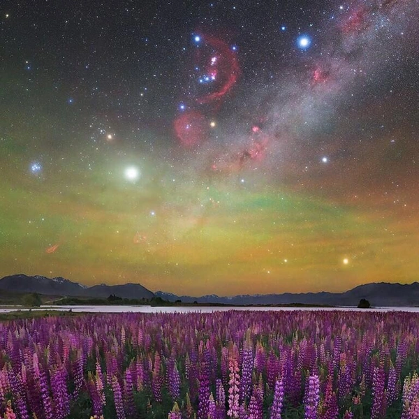 Озеро Текапо на Южном острове Новой Зеландии | Источник: Max Inwood / Milky Way Photographer of the Year 2025