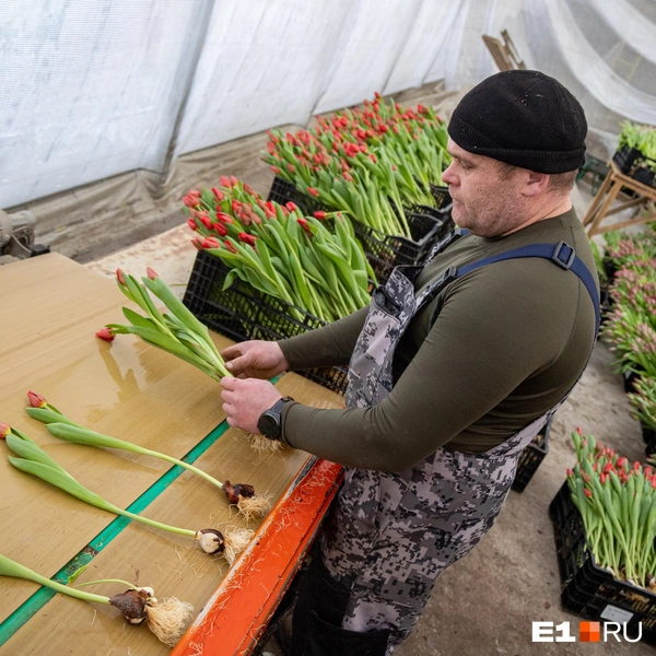 Источник: Владислав Лоншаков / E1.RU 