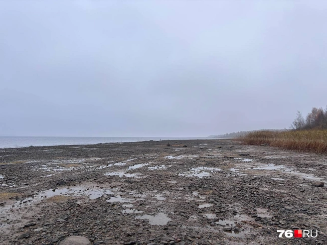 Пять лет назад пространство было покрыто водой | Источник: читатель 76.RU