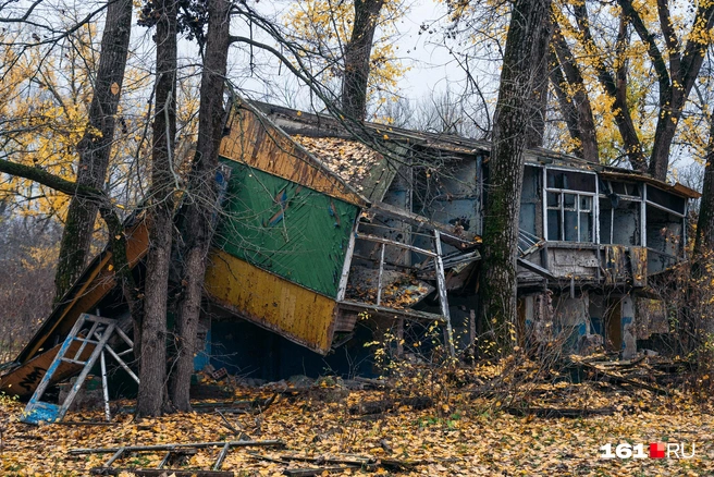 Источник: Евгений Вдовин / 161.RU