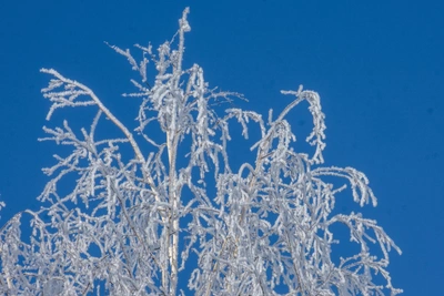 В Самарской области обновлены температурные рекорды