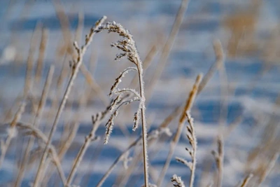 На Ямале объявлено штормовое предупреждение
