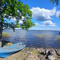 Аватарка Рысиния