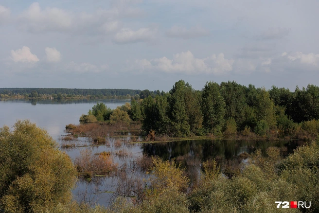 Вода разлилась на те места, где ее нечасто увидишь  | Источник: Ирина Шарова / 72.RU 