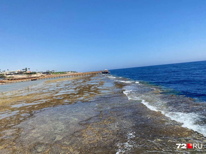 Днем на море был отлив | Источник: из личного архива Таши Лобовой