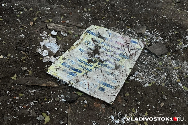 Армянское кафе на территории школы снесли. Его во Владивостоке построили незаконно | Источник: Елена Буйвол / VLADIVOSTOK1.RU