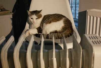 Как ростовчане живут без тепла после аварии на ТЭЦ-2