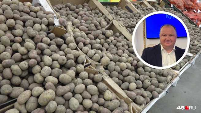 Агроном Вячеслав Немиров объяснил, почему картофель поразил фитофтороз | Источник: Илья Рейзвих /NGS55.RU / Юлия Король /45.RU