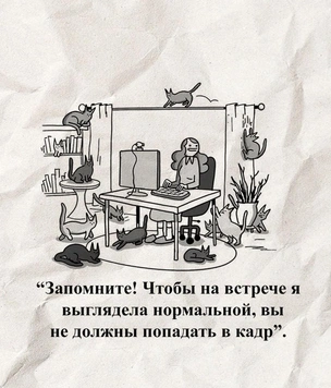 Лучшие смешные картинки дуэта War and Peas