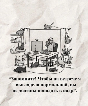 Лучшие смешные картинки дуэта War and Peas