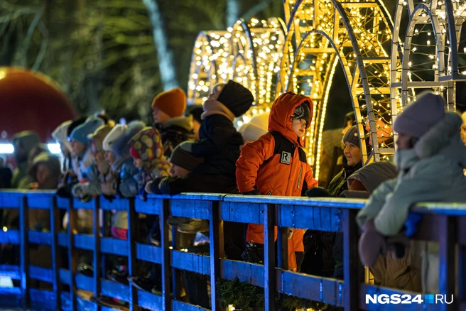 Карапузы пришли посмотреть на лед и шоу | Источник: Мария Ленц / NGS24.RU