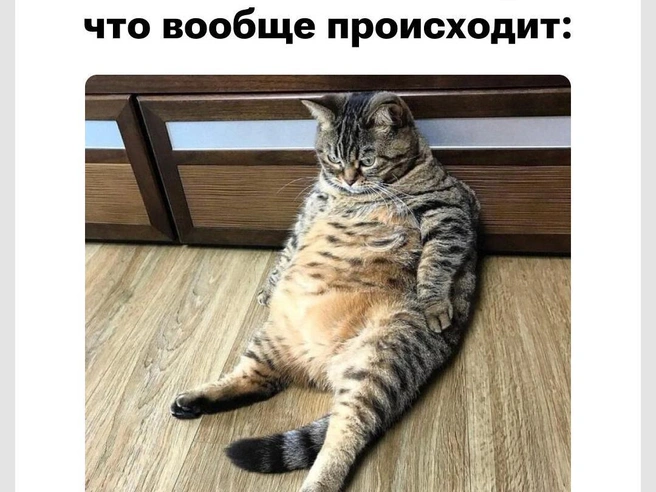Знакомо, уже проходили | Источник: Городские медиа