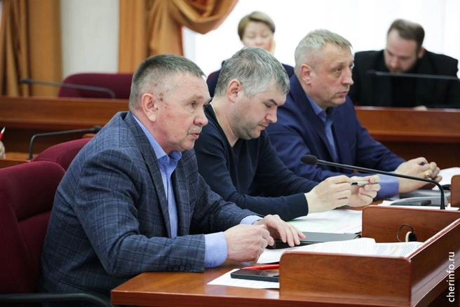 Источник: st.cherinfo.ru
