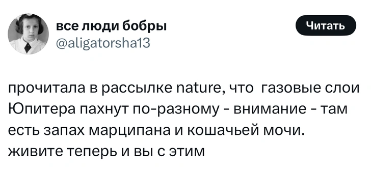Источник: X (Twitter)
