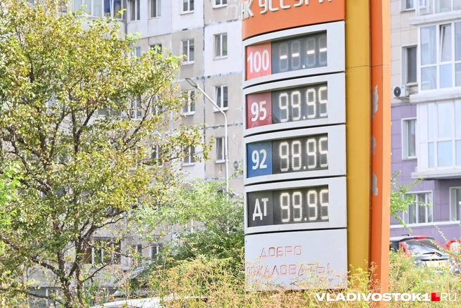 Источник: Елена Буйвол / VLADIVOSTOK1.RU