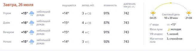 Информация о погоде на День города от «Яндекса» | Источник: «Яндекс Погода»