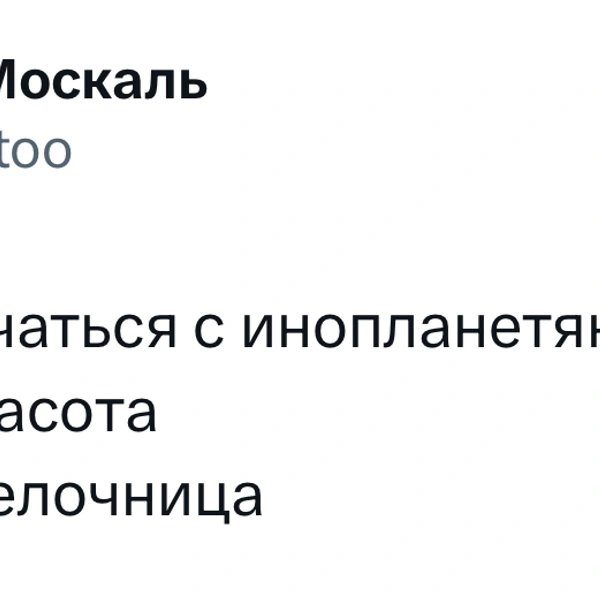 Источник: X (Twitter)