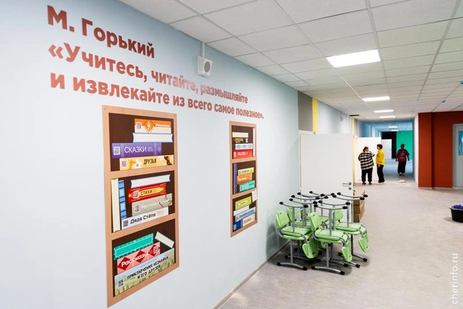 Источник: st.cherinfo.ru