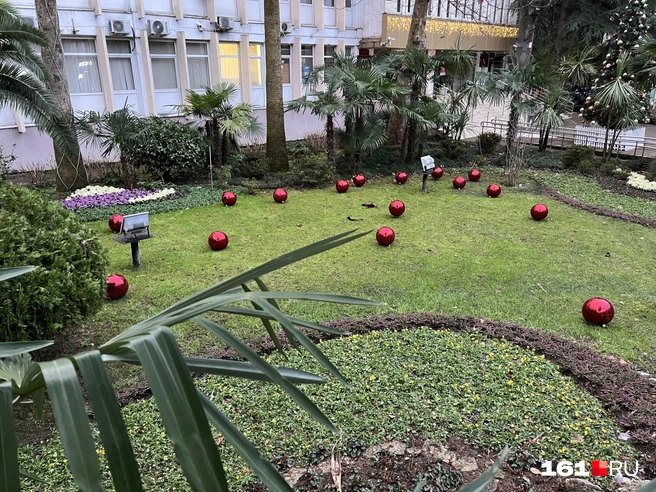 Шары рассыпались по газону | Источник: Ксения Сухоленко / 161.RU