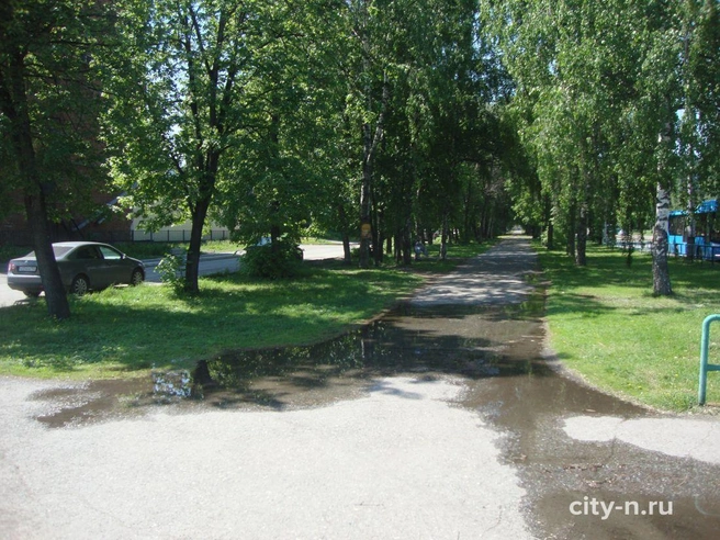 Источник: www.city-n.ru