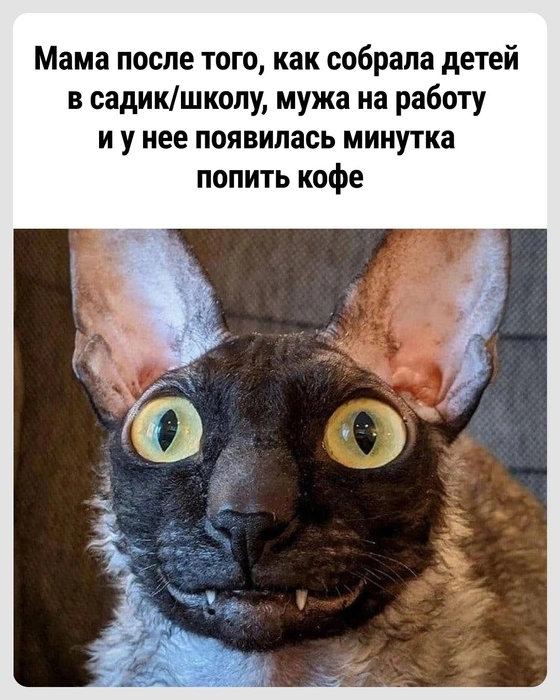 Ни капли не устала | Источник: Городские медиа