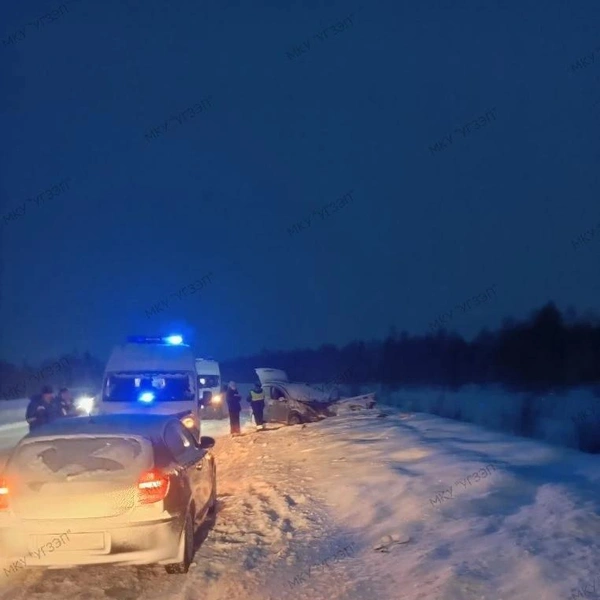 На место ДТП приехали спецслужбы | Источник: МКУ «УГЗЭП»