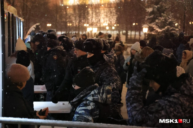 Досмотр на входе в Александровский сад | Источник: Татьяна Спиридонова / MSK1.RU