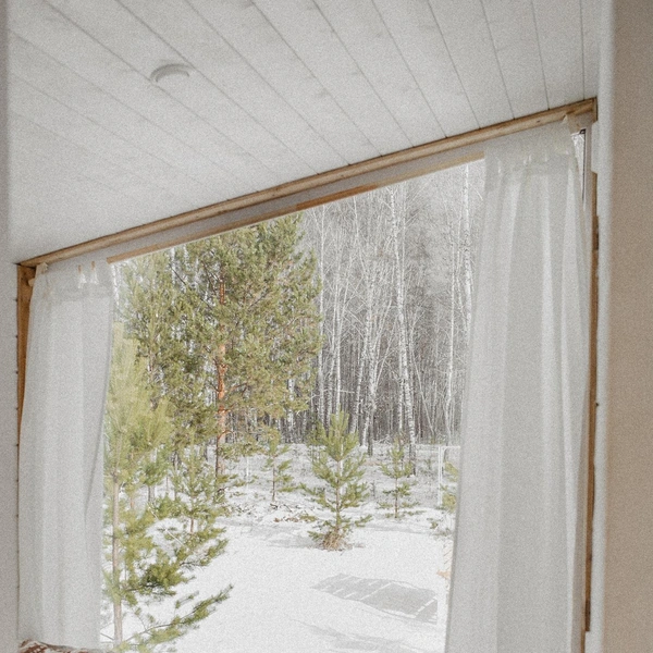 Источник: bart.house.tmn / Instagram (соцсеть запрещена в РФ)