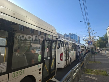 Источник: Алёна Воропаева / Voronezh1.ru