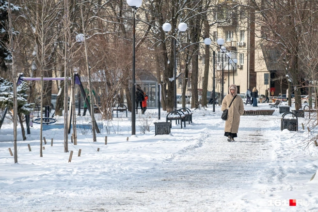 Источник: Евгений Вдовин / 161.RU