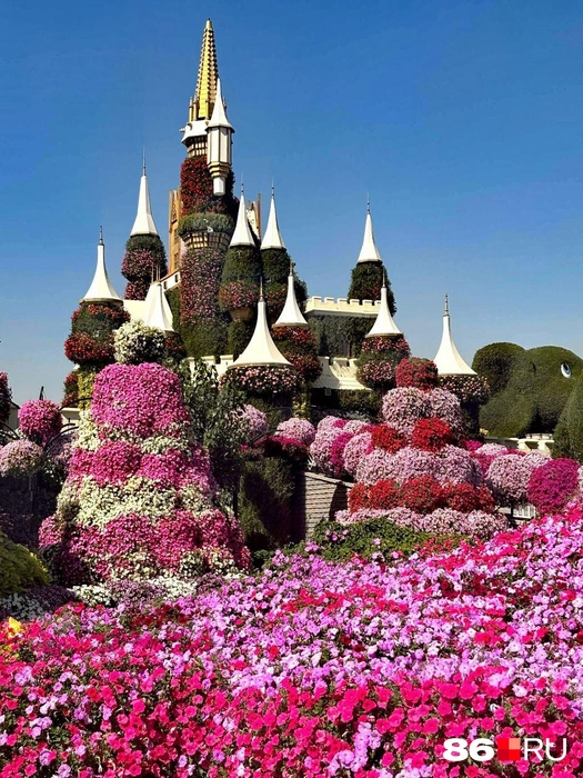 Целое море петуний | Источник: Анастасия Шевякова / 86.RU