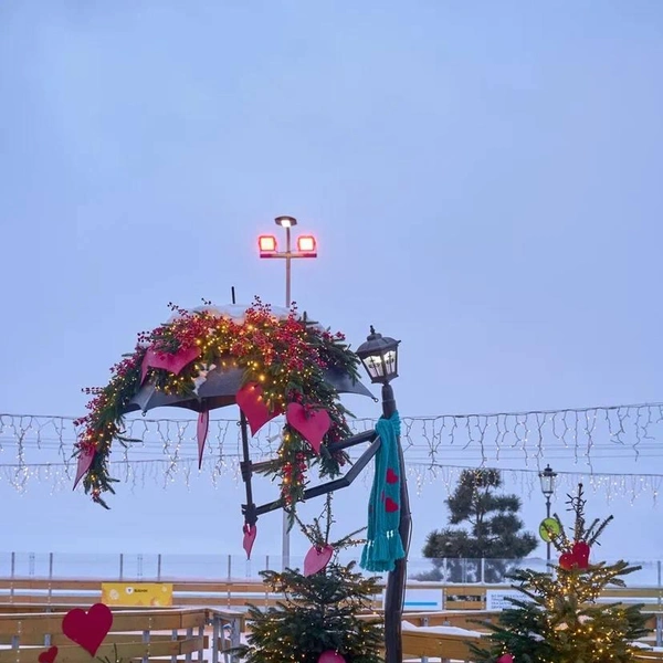 Источник: Каток у Флагштока