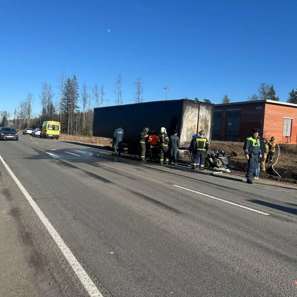 Источник: ГУ МВД России по г. Санкт-Петербургу и Ленинградской области