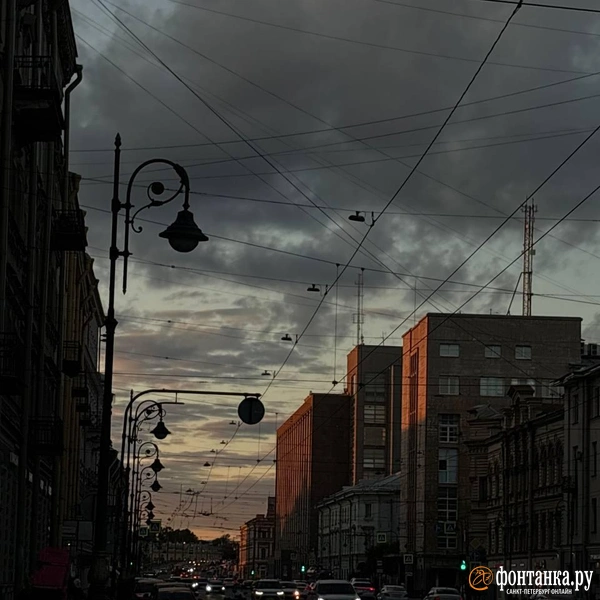 Источник: Дарья Драй / FONTANKA.RU