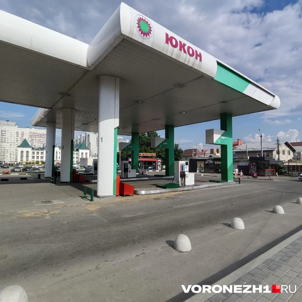 Источник: Андрей Пашинский / Voronezh1.ru