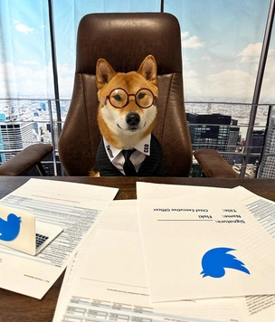 Новый гендиректор Twitter и десятый пакет западных санкций против России: главные новости 15 февраля