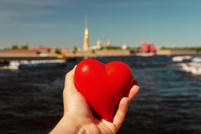 Источник: iStock.com/Kseniia Zagrebaeva