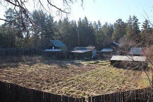 Источник: Елена Романова
